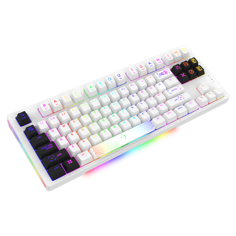 clavier-gaming-aqyris-aludra-tkl (2)