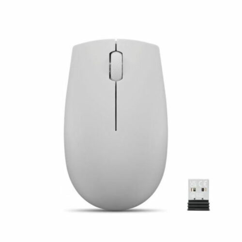 Souris Optique Sans Fil LENOVO Compact 300 - Gris arctique