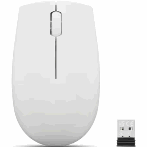 Souris Optique Sans Fil LENOVO Compact 300 avec batterie - Gris