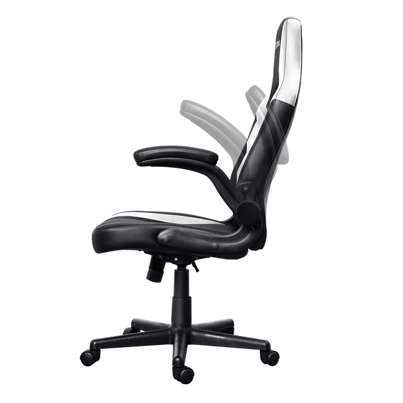 chaise-gaming-trust-gxt703r-riye-noir-blanc (1)