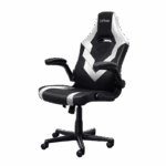 chaise-gaming-trust-gxt703r-riye-noir-blanc