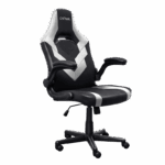 chaise-gaming-trust-gxt703r-riye-noir-blanc