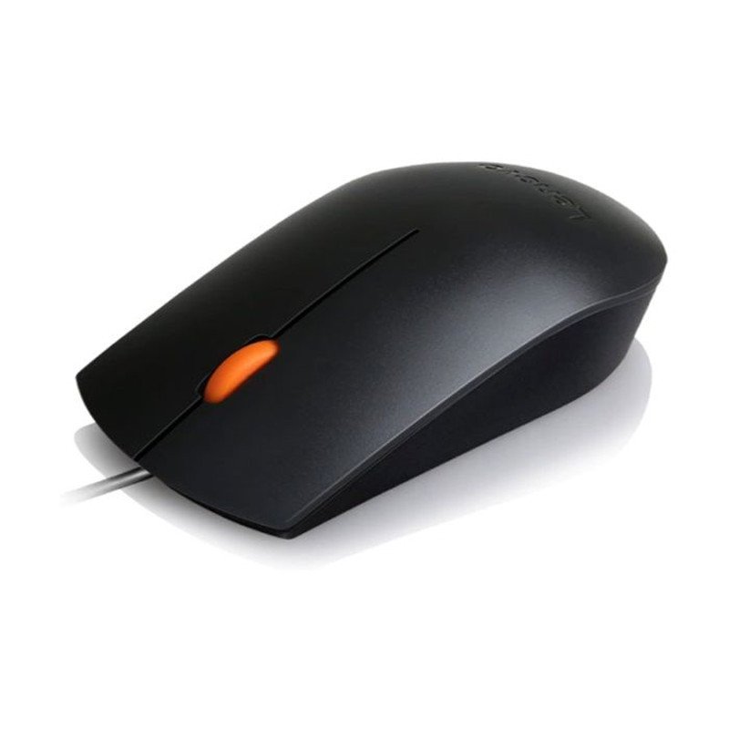 souris-filaire-lenovo-gx30m39704-compact-300-noir-1.jpg