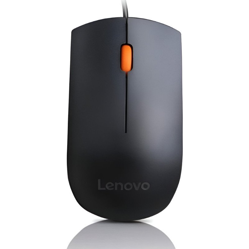 souris-filaire-lenovo-gx30m39704-compact-300-noir.jpg