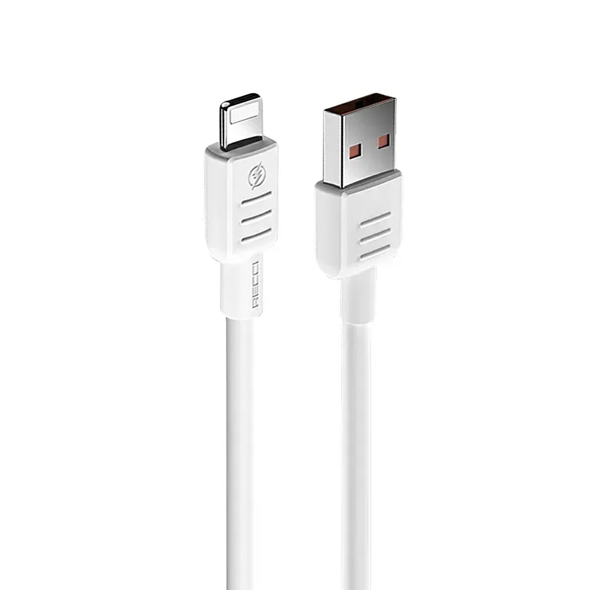 chargeur-secteur-usb-recci-rc-66 (2)