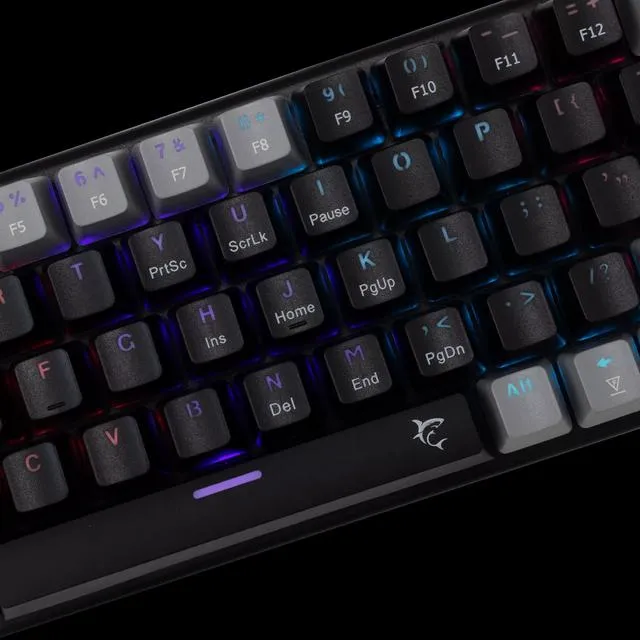 image - 2026-01-13T190903.615