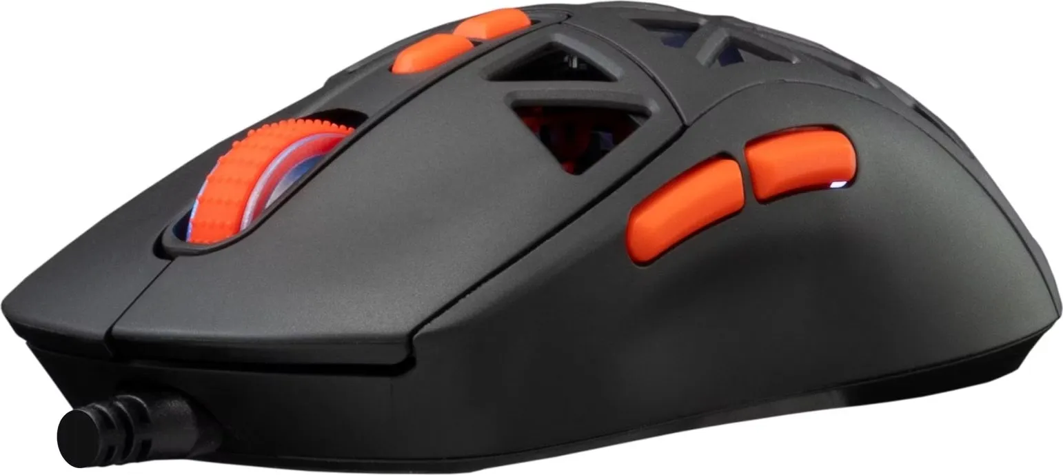 01994b93-dff4-75ab-939d-44752df4a2aa_2880-converti-depuis-avif